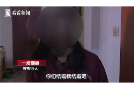 逾期催收短信回复“T”：了解应对策略